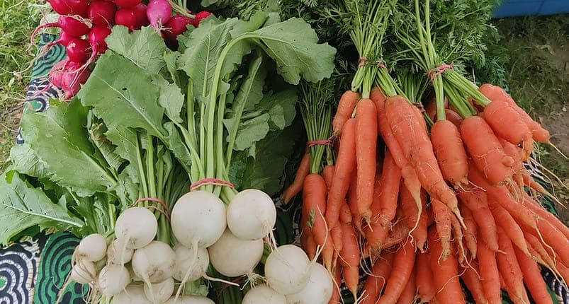 Storrs Farmers Market
