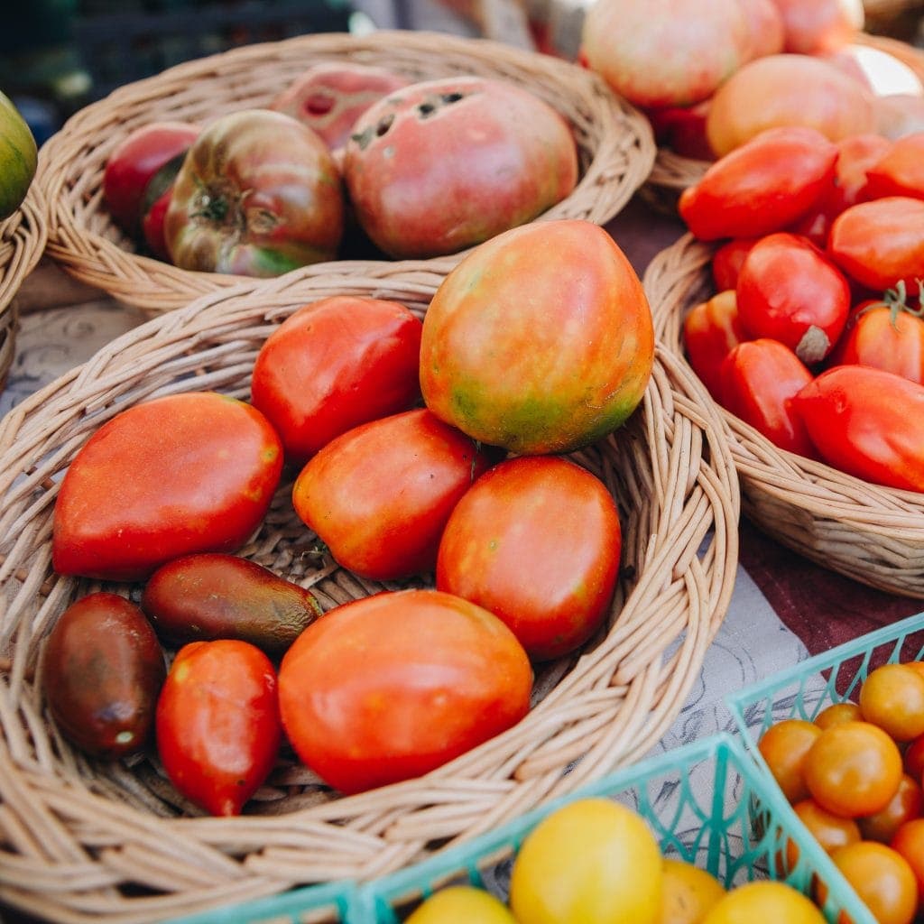 Nourish Knoxville Market Square Farmers Market 2026