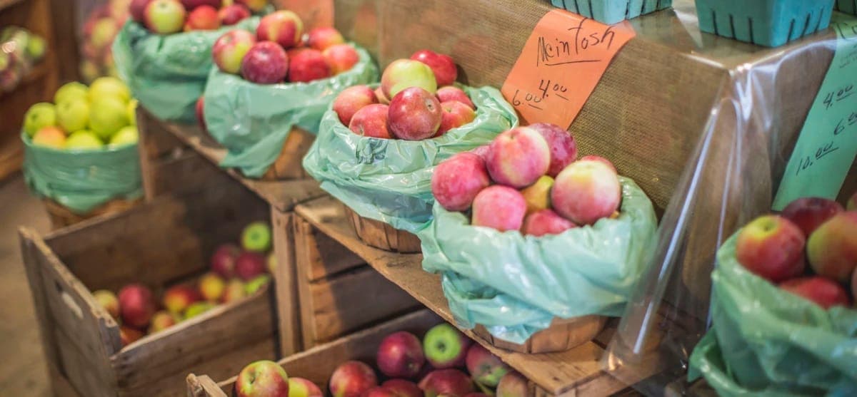 Marché du Vieux-Port de Québec (saison 2026)