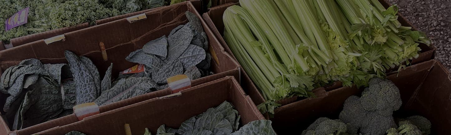Coconut Grove Organic Farmers Market