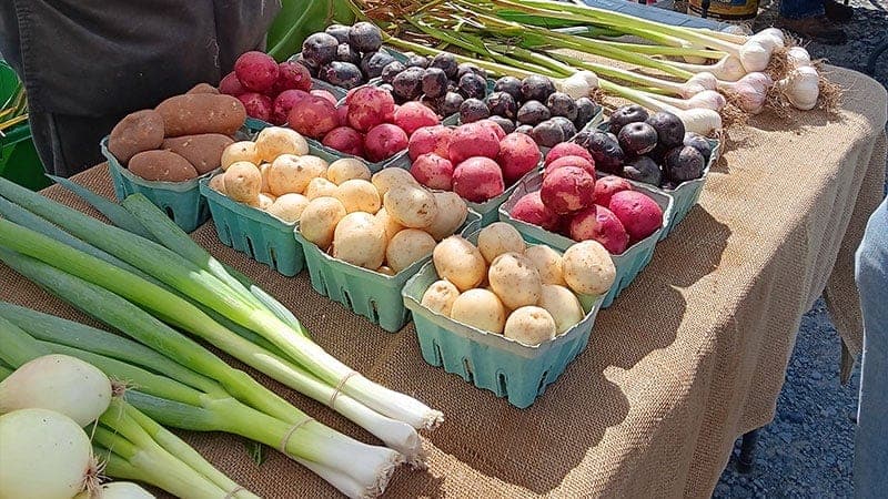 Wayne County Farmers Market