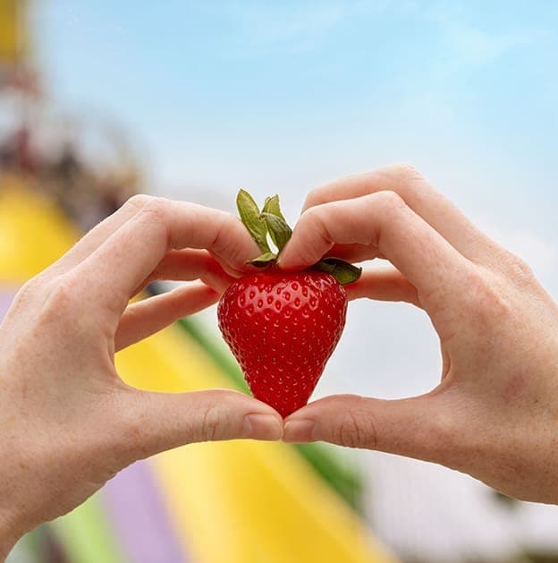 California Strawberry Festival