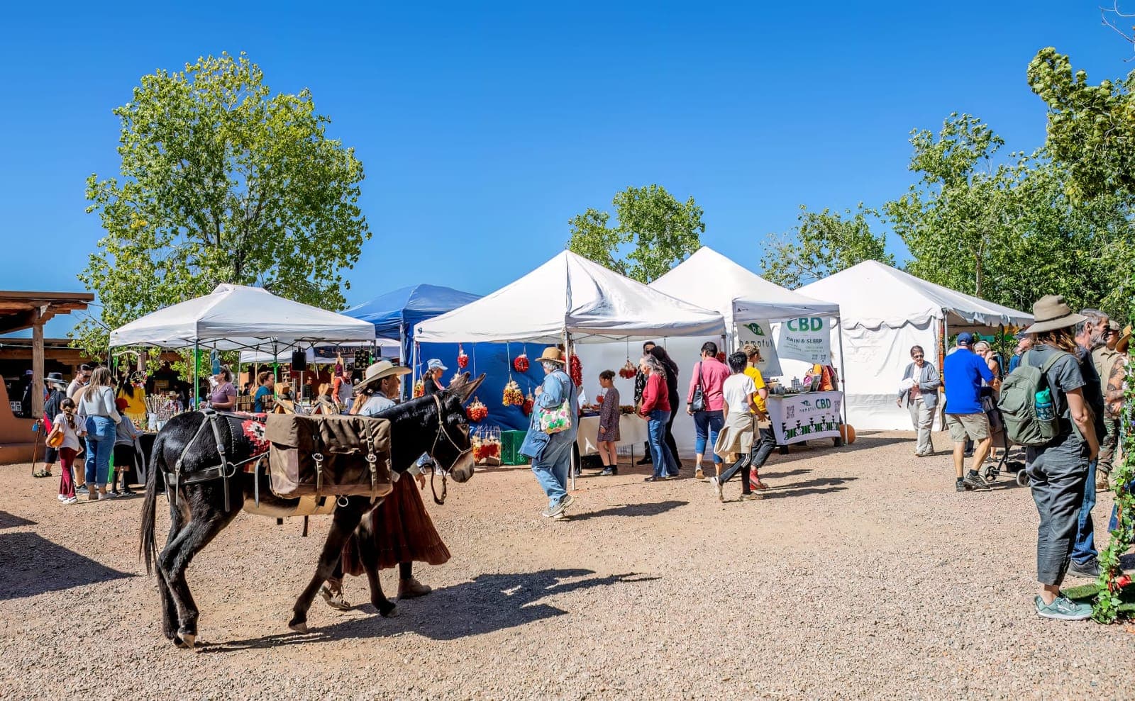Santa Fe Harvest Festival at Las Golondrinas 2027