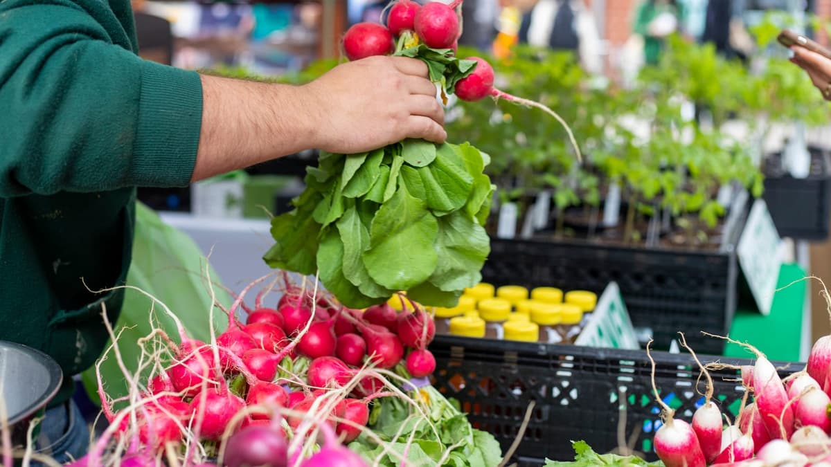 Bethlehem Farmers Market