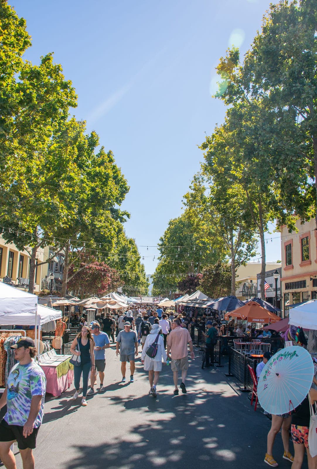 Mountain View Art & Wine Festival