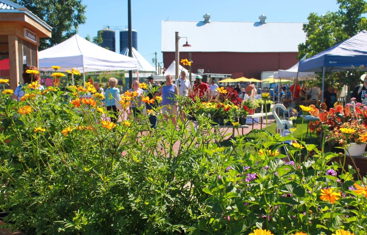 Burlington County Farmers Market