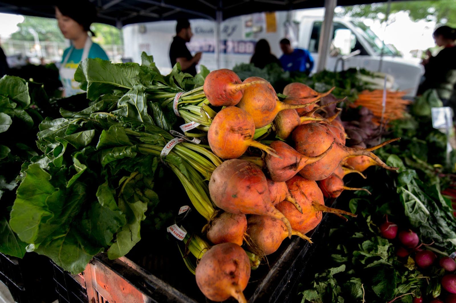 Harvest Home Mt Morris Park Market
