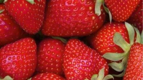 Forestville Strawberry Festival