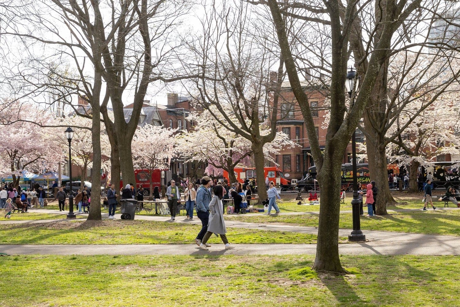 Wooster Square Cherry Blossom Festival 52nd Annual