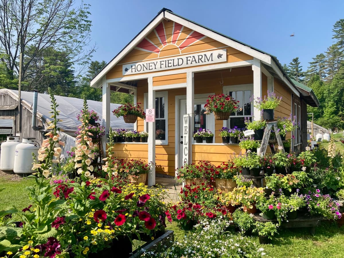 Honey Field Farm Pop-Up Market