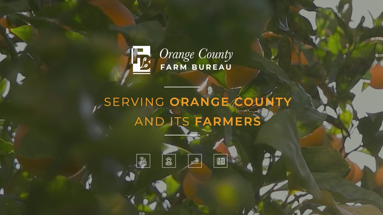 Irvine Regional Park Certified Farmers' Market