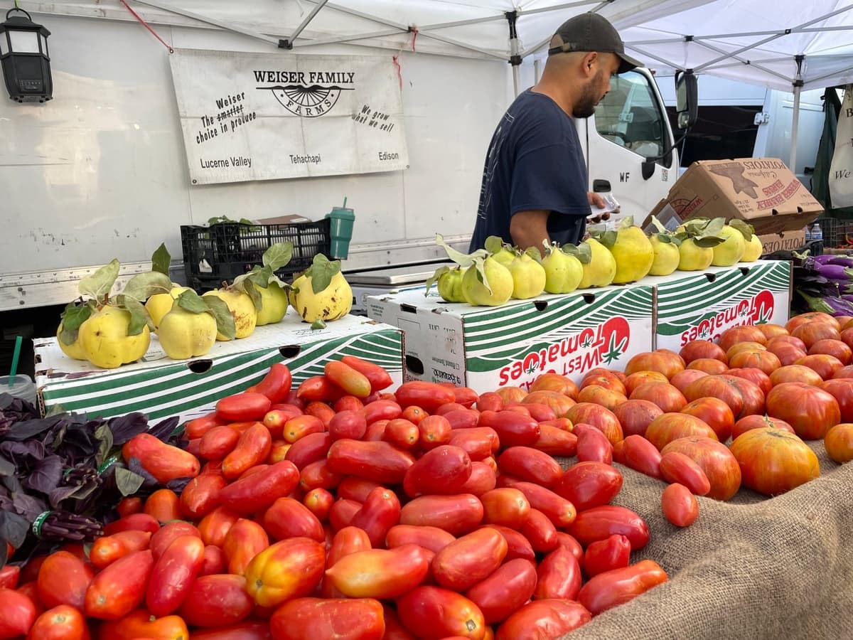 Hollywood Farmers Market