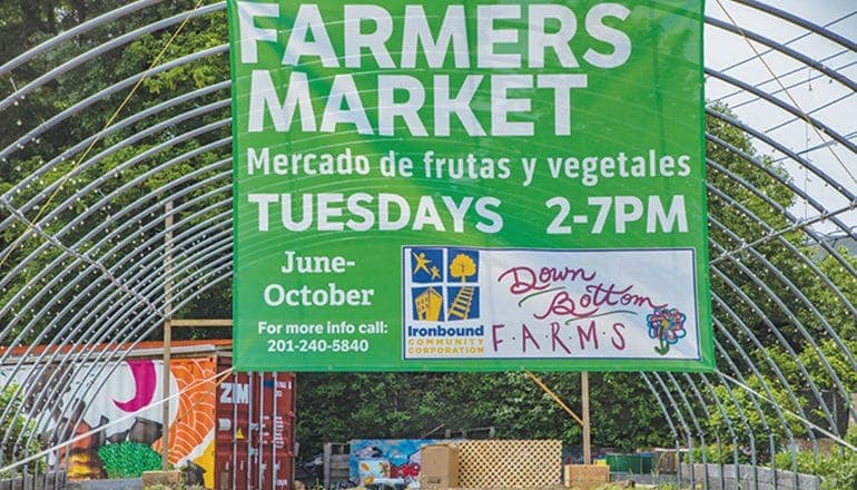 Down Bottom Farms Newark Farmers Market