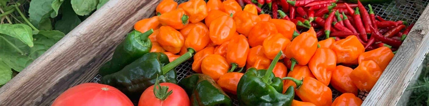 Cerritos Farmers Market