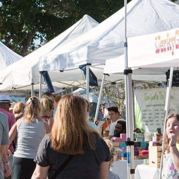 Cape Coral Art Festival