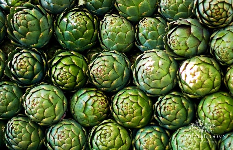 Carson City Farmers Market