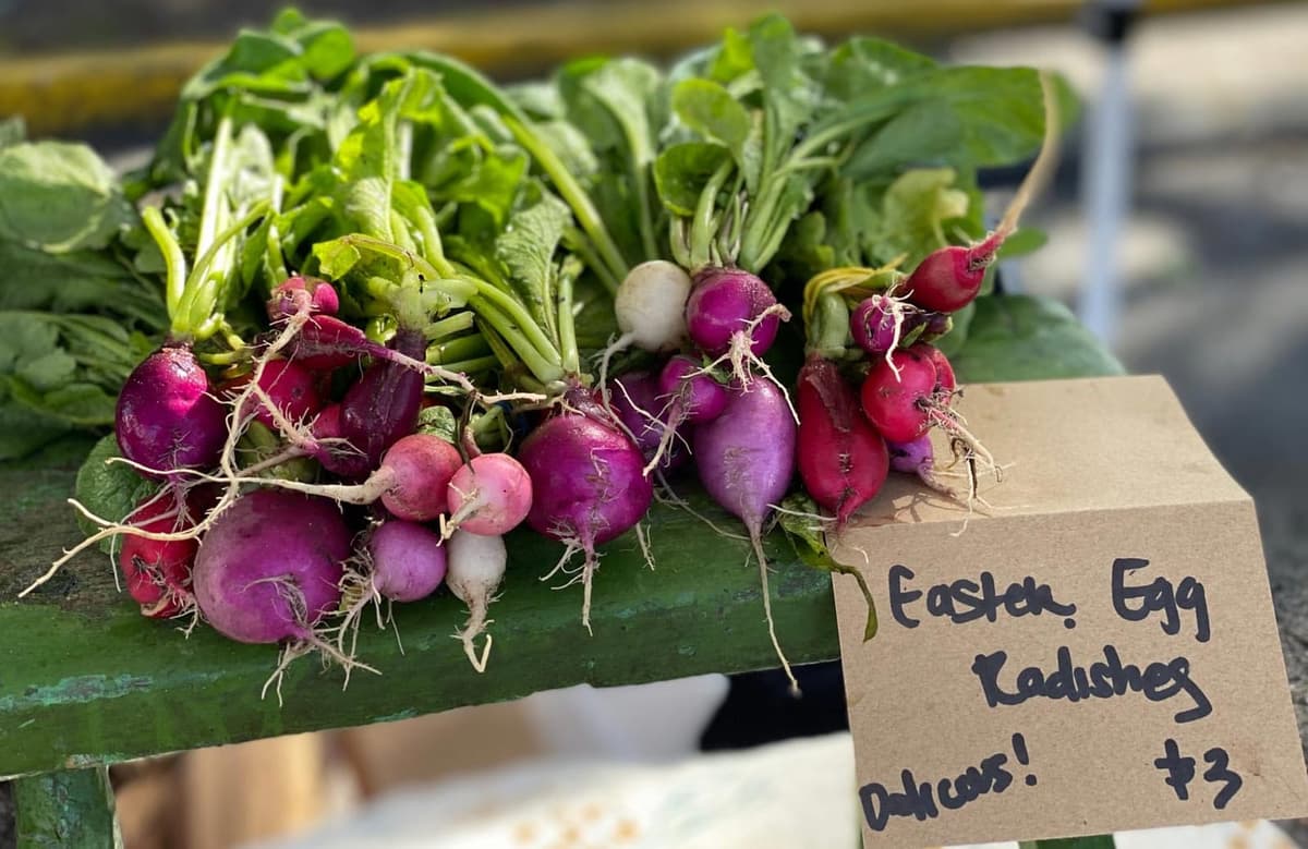 Winter Haven Farmers Market