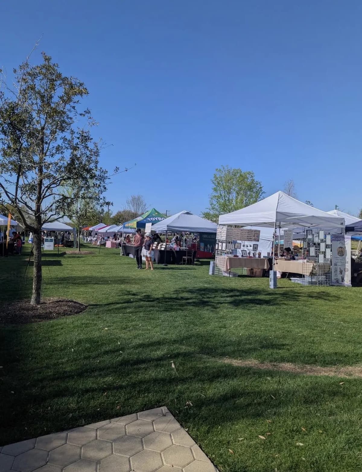 Frisco Shop Local Summer Market