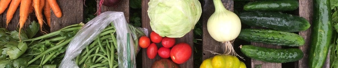 St. Croix Falls Farmers Market