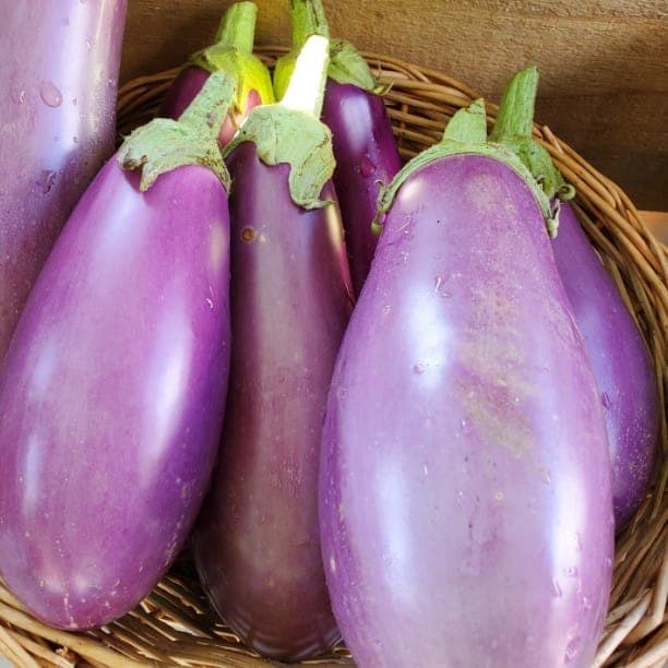 Farmers Market at Forest Park