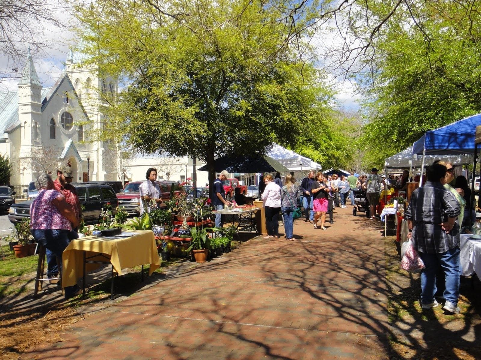 Palafox Market