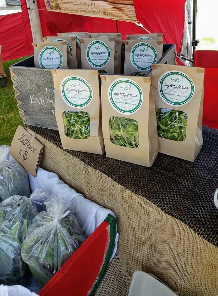 Wood River Farmers Market Ketchum