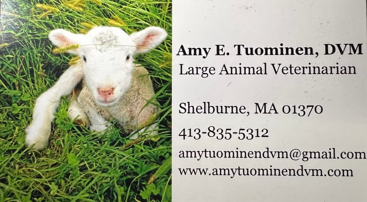 Massachusetts Sheep & Woolcraft Fair