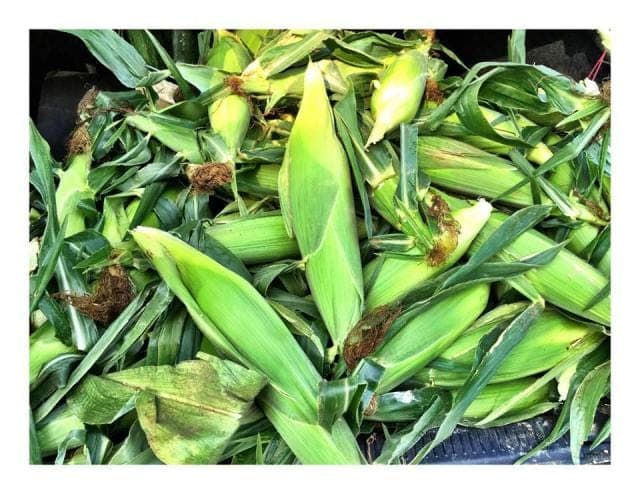 Grow Amsterdam Farmers Market