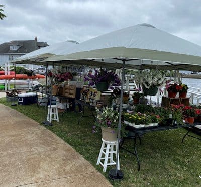 Downtown Toms River Farmers Market