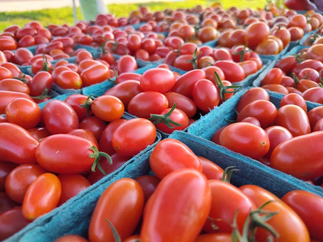 Little Falls Original Farmers Market