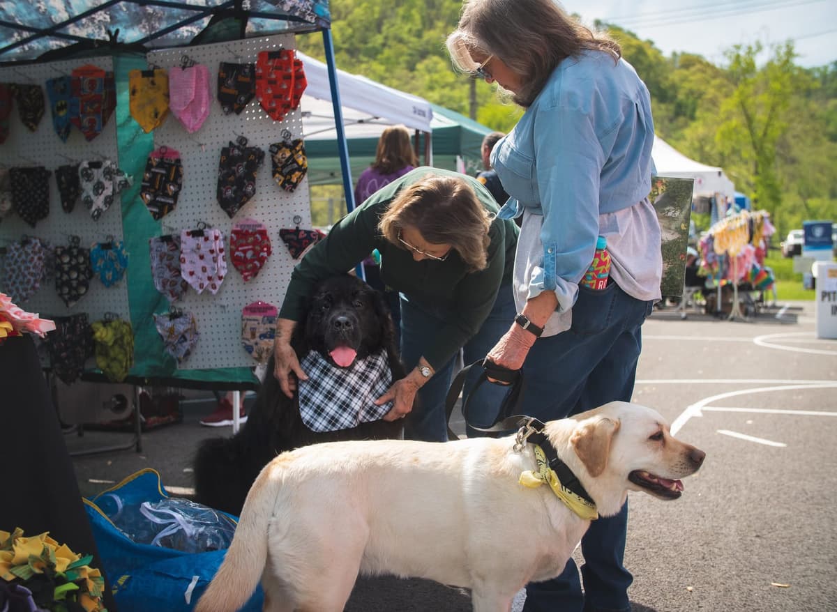 FidoFest