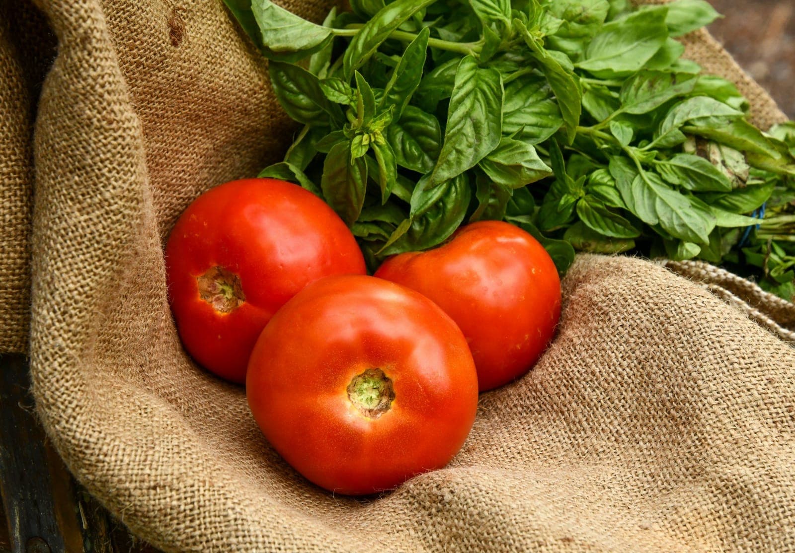 Terre Haute Farmers Market