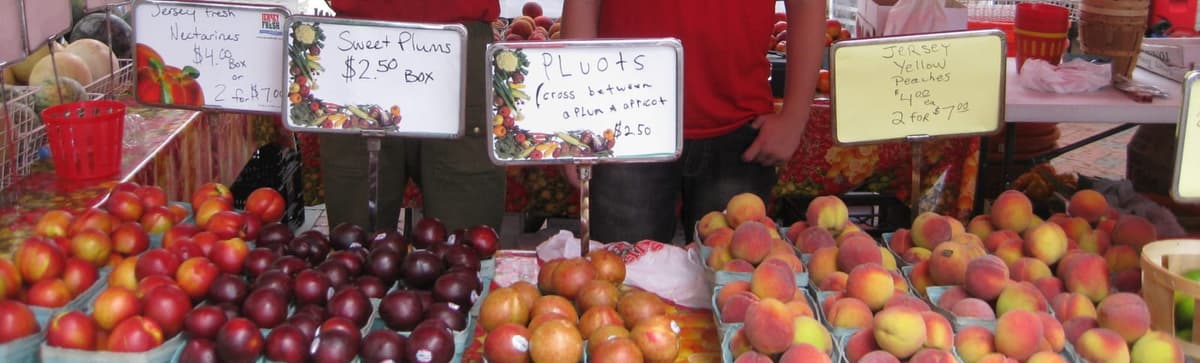 Haddonfield Farmers Market