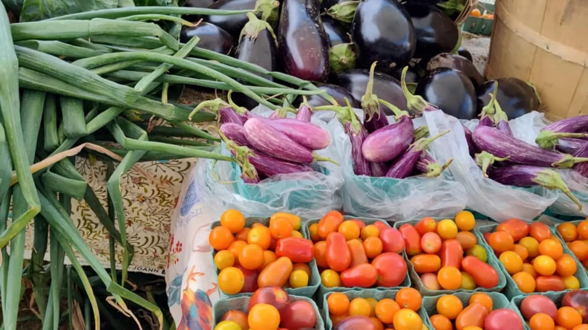 Speculator Farmers and Crafters Market