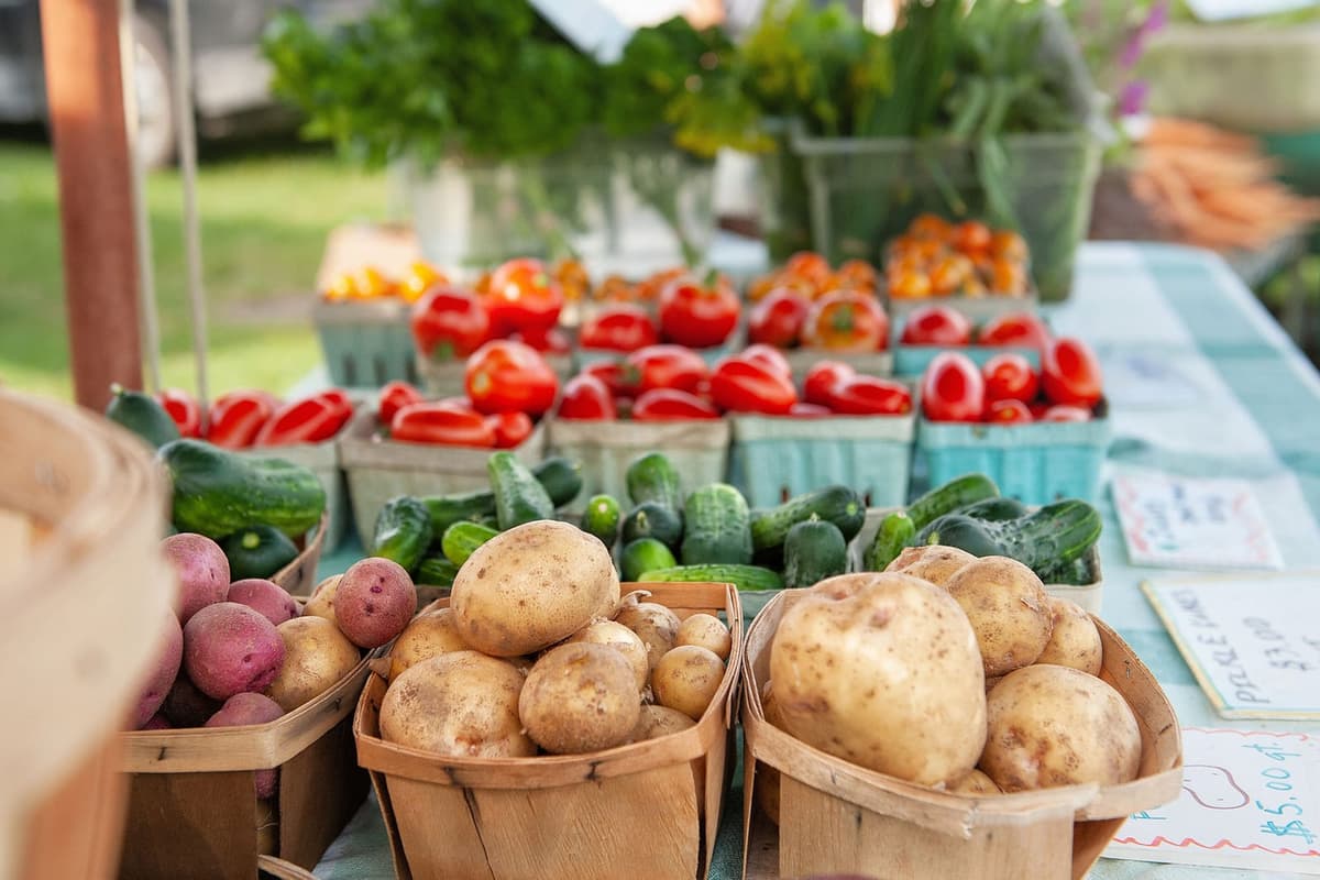 Boyne City Farmers Market