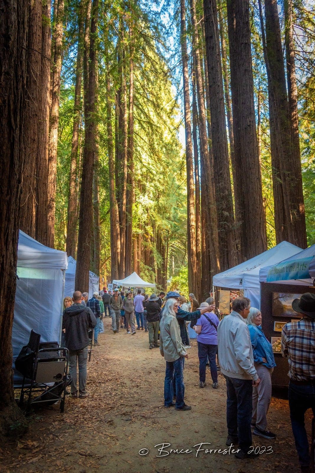 Mill Valley Fall Arts Festival