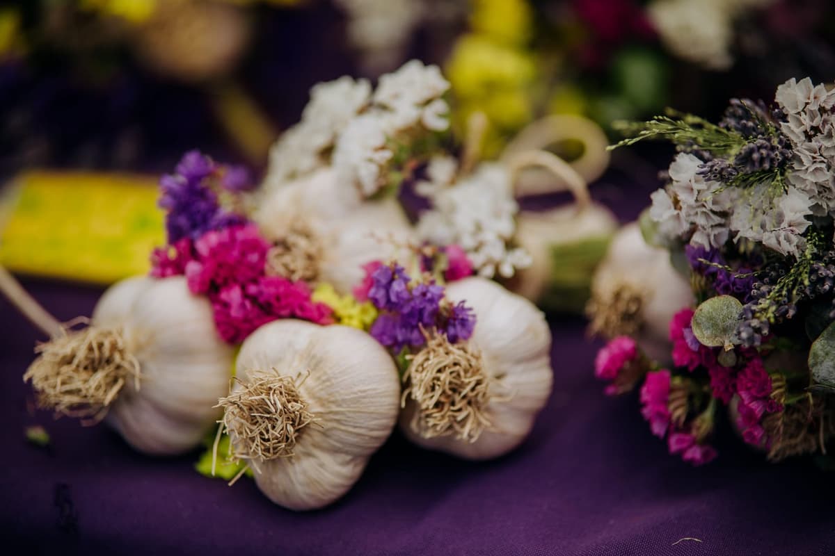 Garlic Town USA Festival