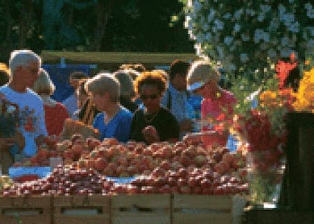 Alexandria Old Town Farmers Market