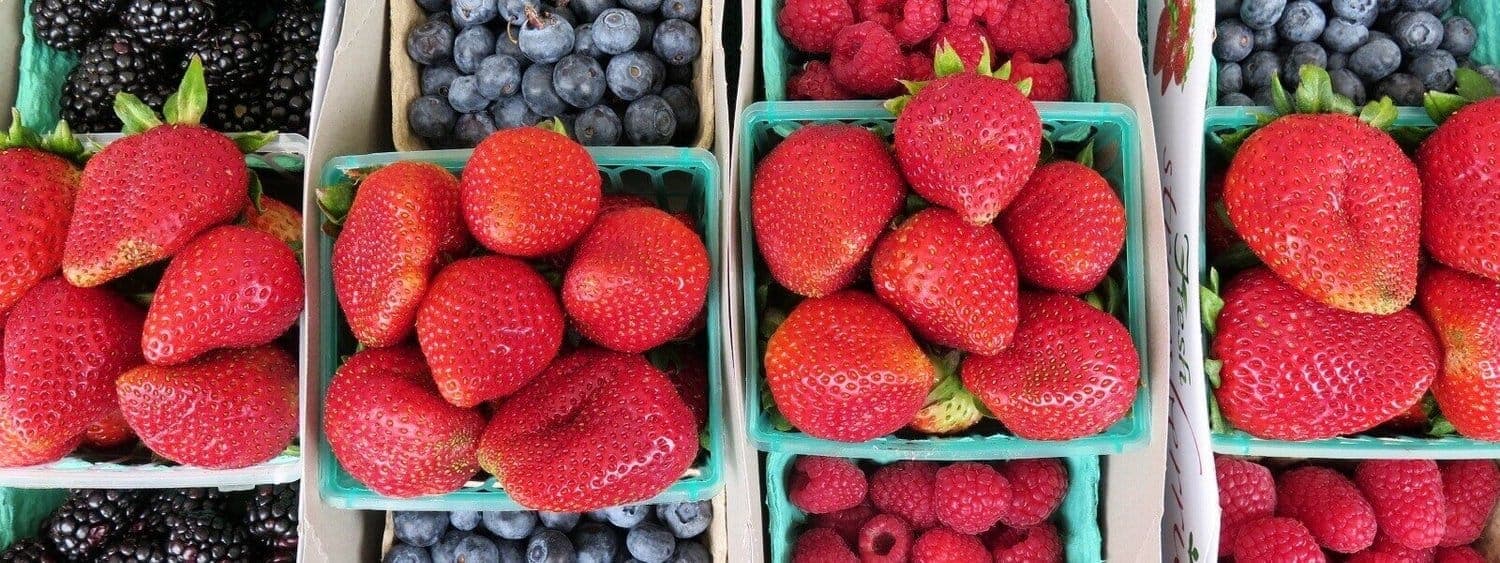 Manhattan Beach Farmers Market