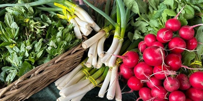 Corvallis Farmers Market