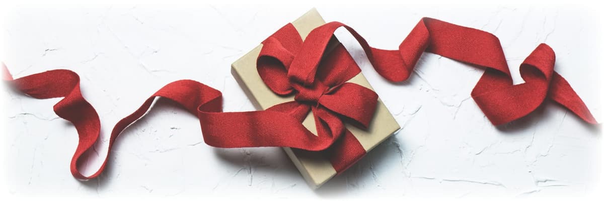 Carousel Craft Show - Forest Lake VFW