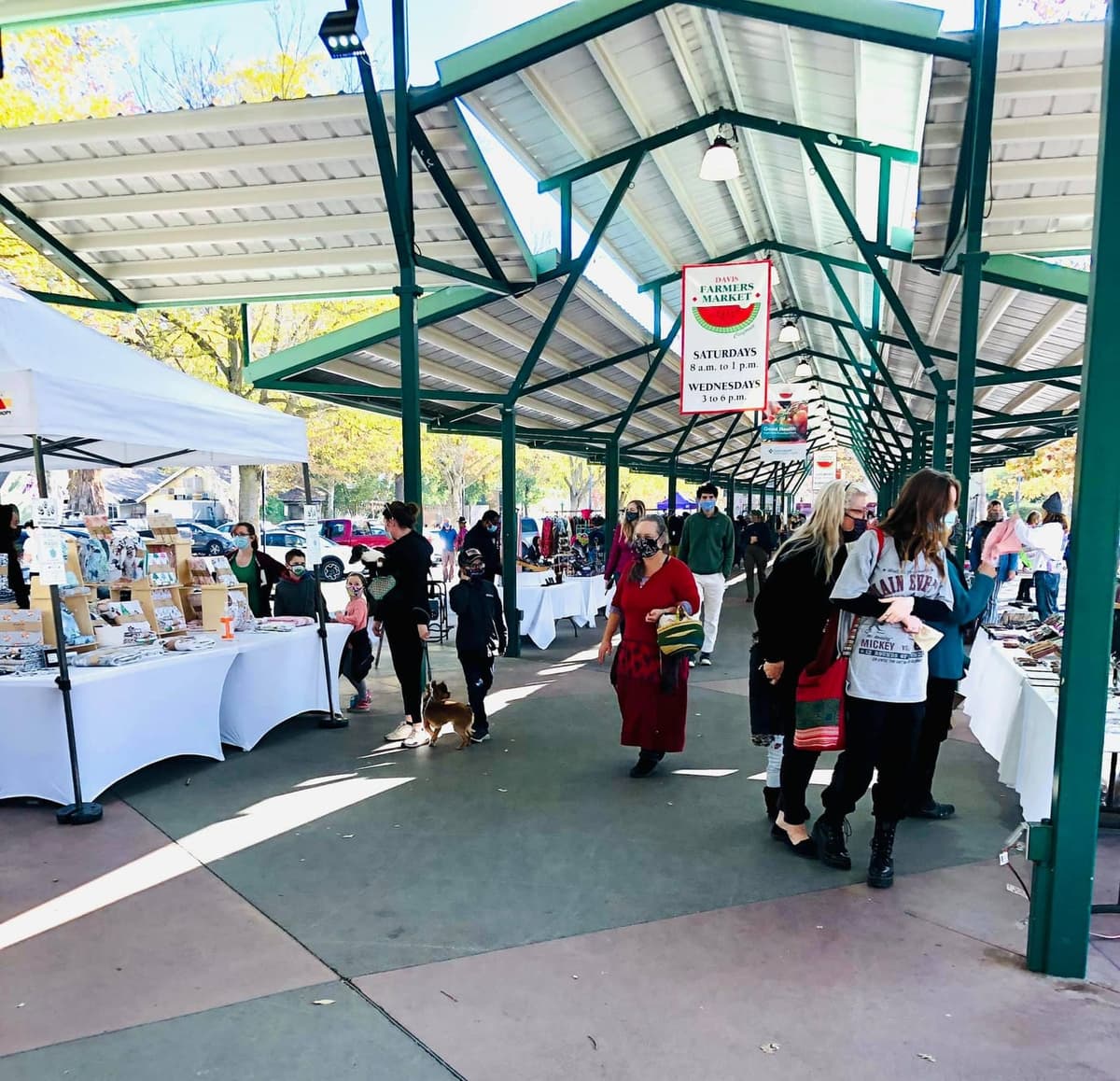 Davis June Craft and Vintage Fair