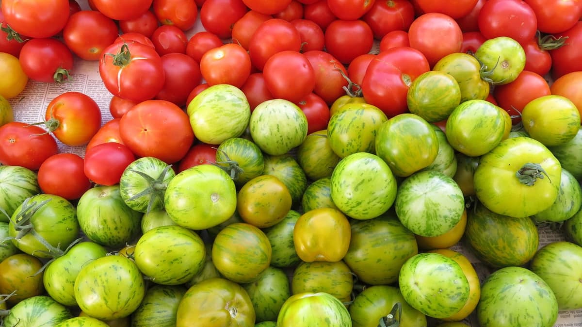 Santa Fe Railyard Artisan Market