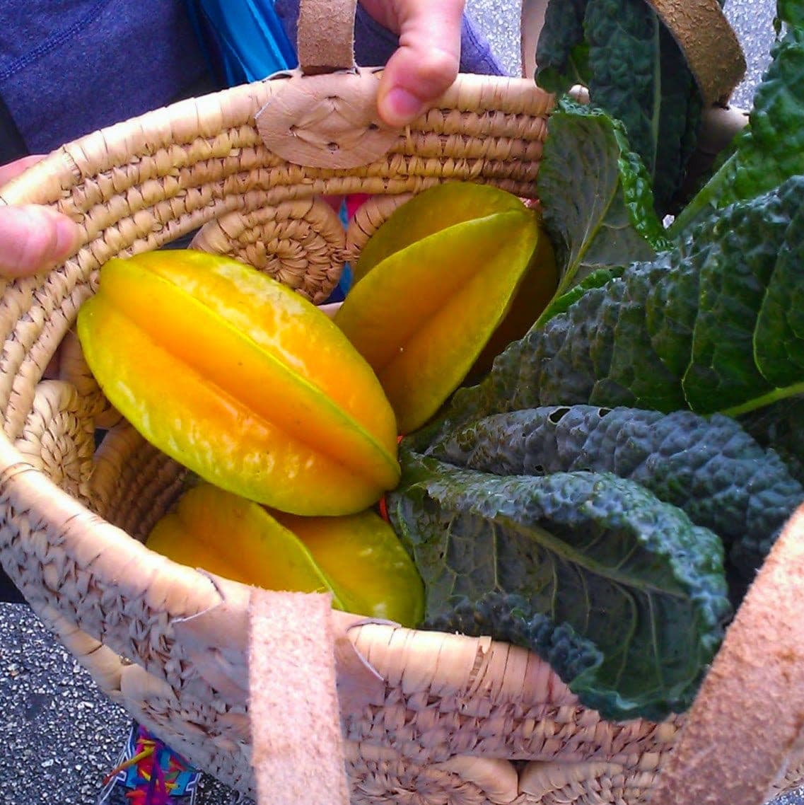 Mid-Week Madeira Beach Open Air  Market
