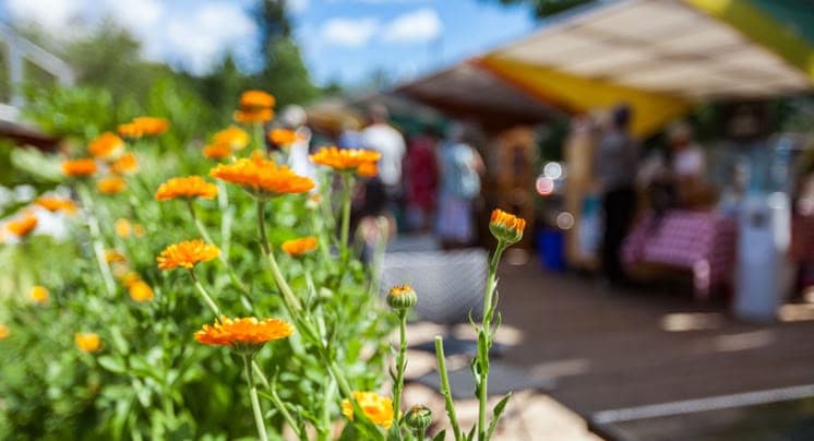 Wheaton French Market