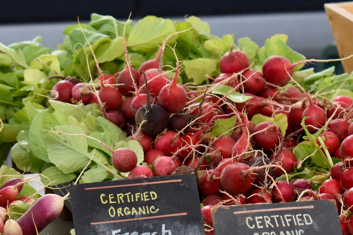Takoma Park Farmers Market