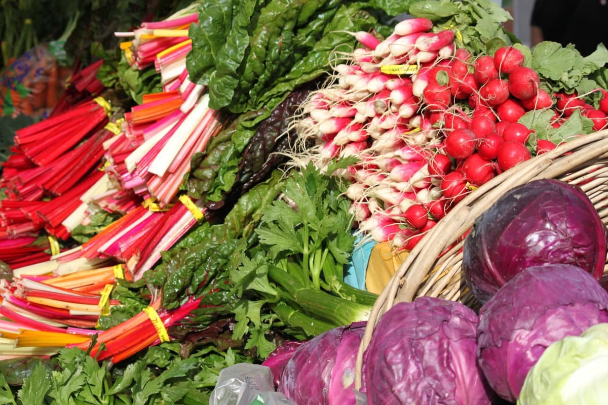 Bellevue Farmers Market