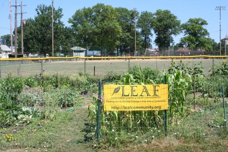 Lakewood Earth and Food (LEAF) Community Farmers' Market