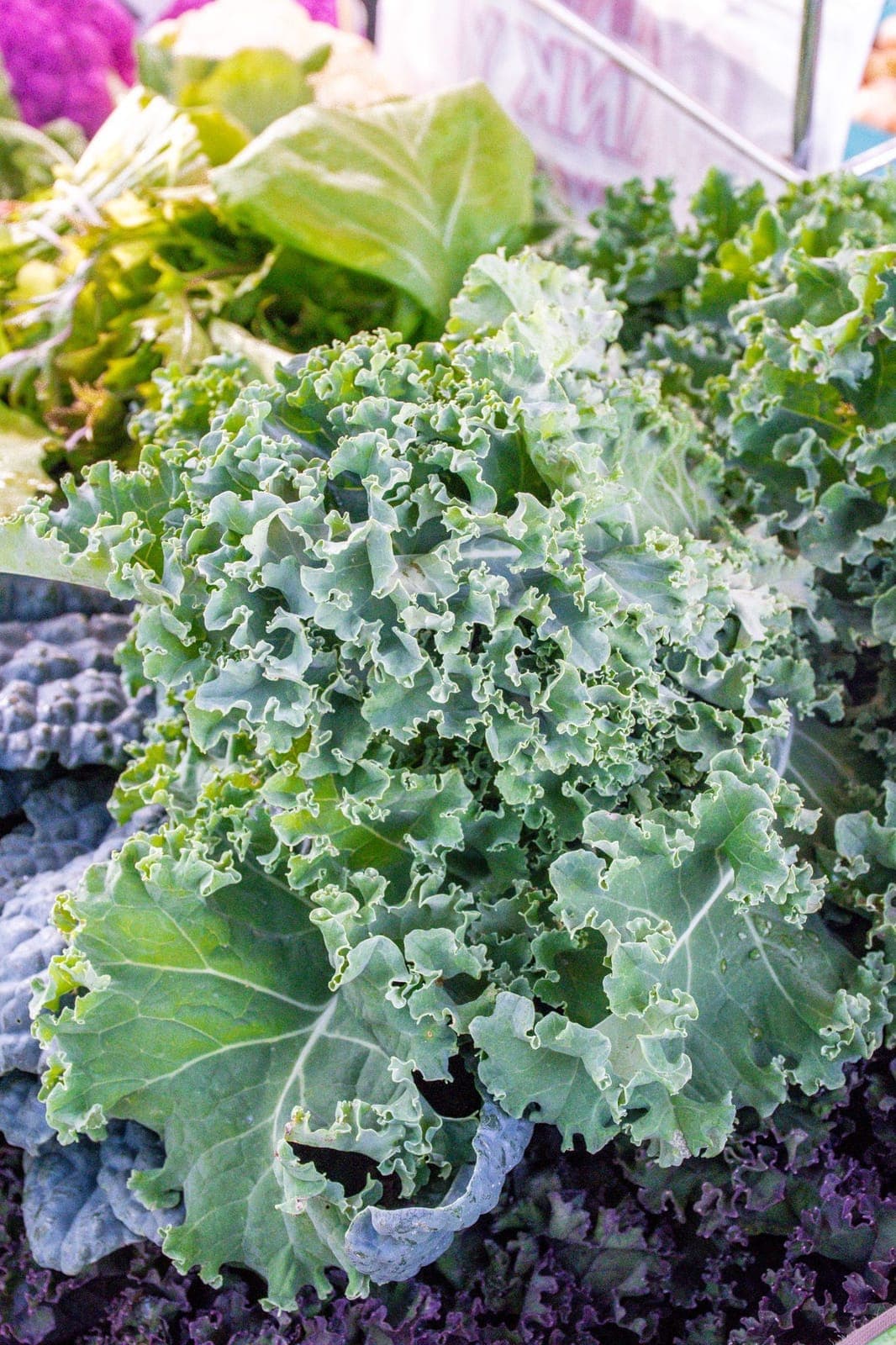 Geauga Fresh Farmers' Market