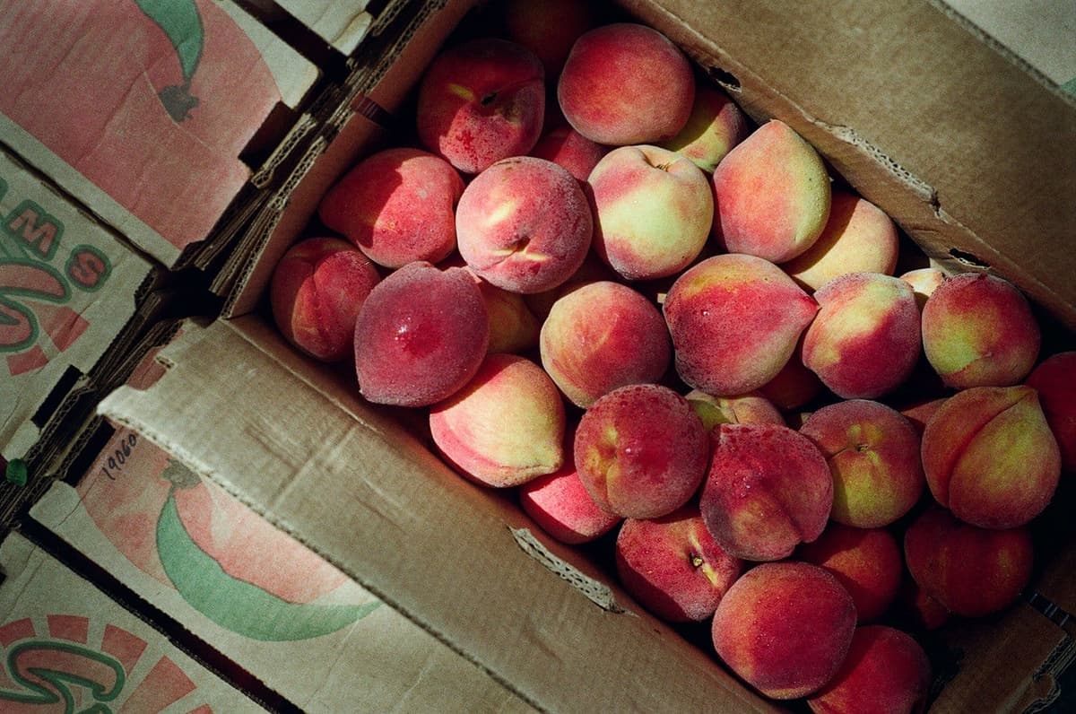 Roswell Farmers and Artisans Market